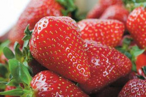 El consumo de frutos rojos previene la aparición de enfermedades cardiovasculares