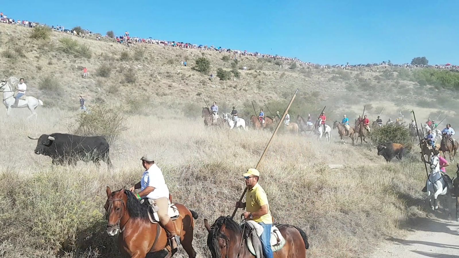 El encierro de Brihuega primeras imágenes NuevaAlcarria Guadalajara