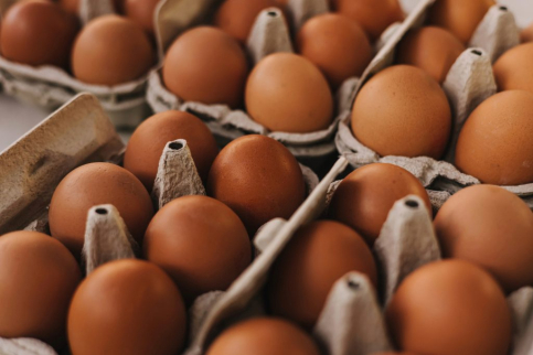 Hong Kong suspende las importaciones de carne y huevos procedentes de Guadalajara por gripe aviar