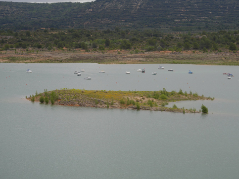 Hay una isla en Entrepeñas que está a punto de emerger