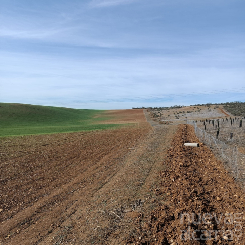 APAG estalla ante una fauna silvestre descontrolada que hace 