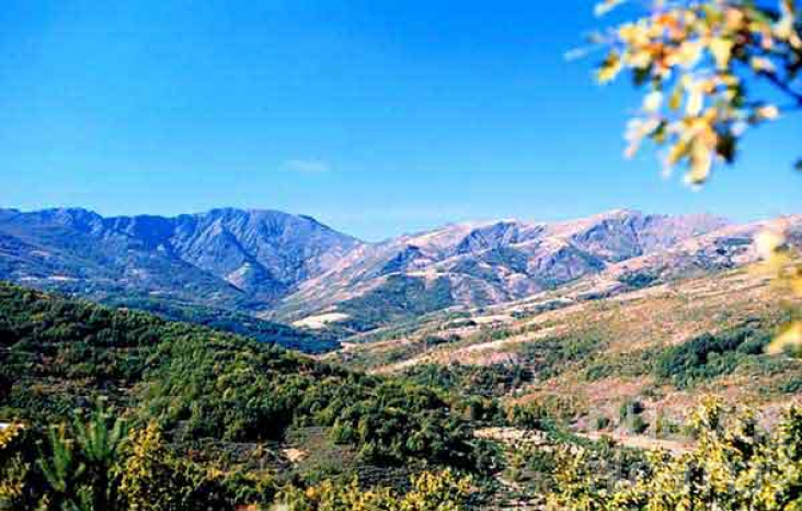 La Sierra de Ayllón, primer espacio de la Red Natura 2000 de la región en  ser reconocido por su turismo sostenible | NuevaAlcarria - Guadalajara