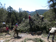 Cerca de 40 voluntarios ayudan a recuperar el antiguo chozón de Ablanque
