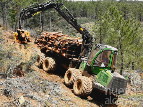 Leñas El Cardoso emplea a 10 trabajadores de la Sierra Norte