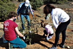 48 holm oaks and six almond trees are planted in an old garbage dump in Valdenazar (Yebes) on Arbor Day 2021 |  NewAlcarria