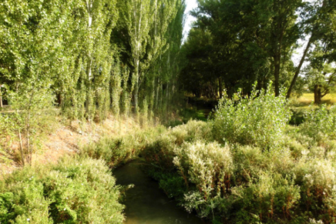 El Valle del Río Cañamares: el gran desconocido