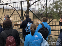Voluntarios de CaixaBank en Castilla La Mancha impulsan actividades medioambientales con colectivos vulnerables