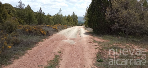 El Gobierno de Castilla-La Mancha reparará casi 40 kilómetros de caminos rurales afectados en 2021 por la DANA y la borrasca Filomena