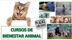 Curso de bienestar animal en Molina y Sigüenza organizado por Apadrina un Árbol