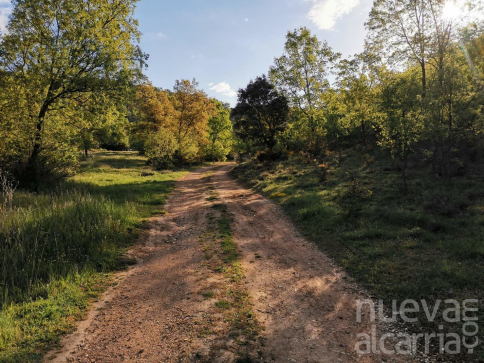 En octubre, tres rutas de senderismo interpretativo en Sigüenza