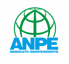 ANPE Guadalajara revalida su triunfo en las elecciones sindicales del personal docente no universitario