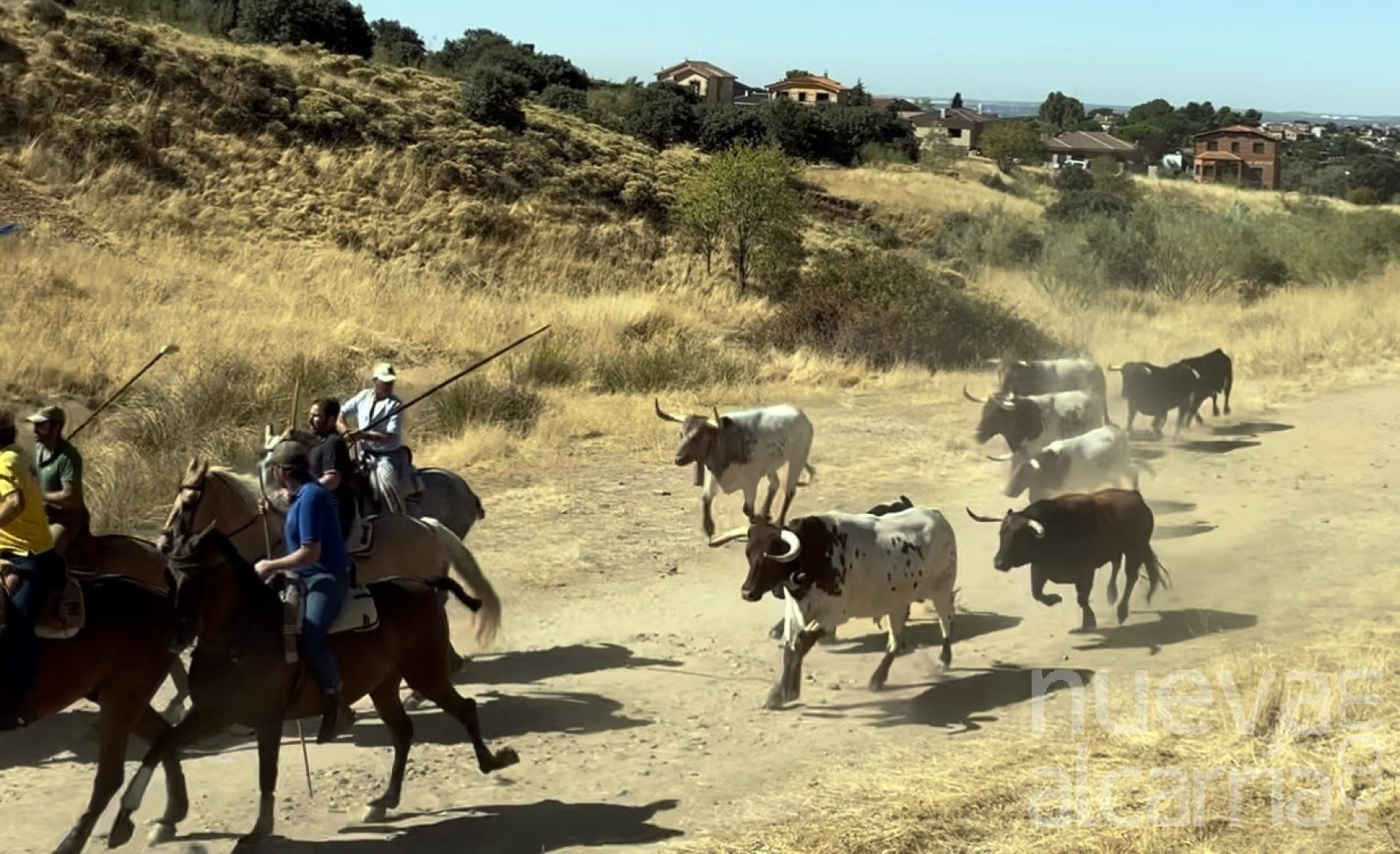 Encierro por el campo celebrado en 2022.