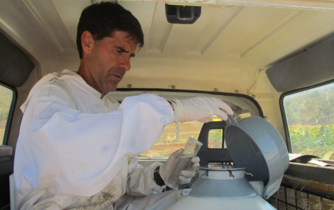 PIONEROS EN EL MUNDO: El CIAPA de Marchamalo participó en el ensayo de la primera vacuna para abejas