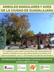 El Ayuntamiento programa con la Asociación Micorriza una ruta interpretada de los árboles y aves más singulares de la ciudad