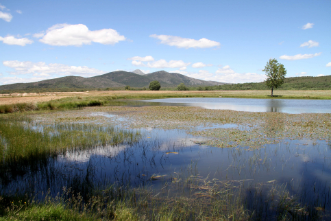 ADEL lanza una nueva convocatoria de ayudas para contribuir a diversificar la actividad económica en la Sierra Norte