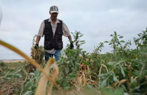 La Junta ha aprobado 7,7 millones en ayudas a jóvenes agricultores de la provincia