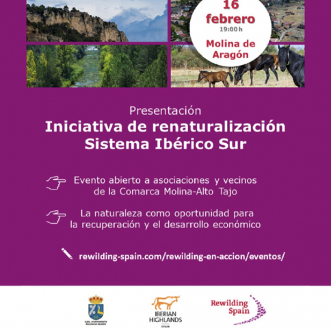 Presentación de la iniciativa Sistema Ibérico Sur en Molina de Aragón
