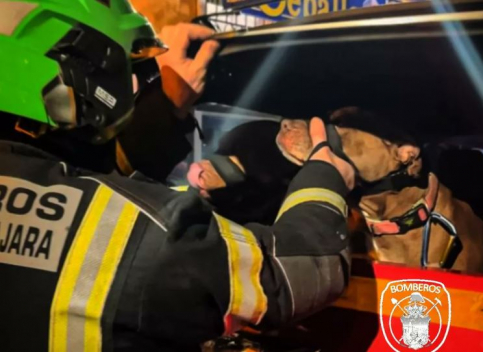 Los bomberos rescataron a dos personas y sus perros en el incendio de ...