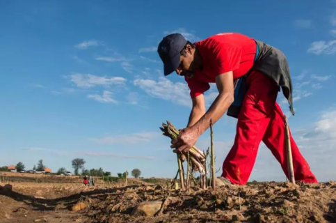Más 2,26 millones de euros para la incorporación de jóvenes agricultores en Castilla-La Mancha