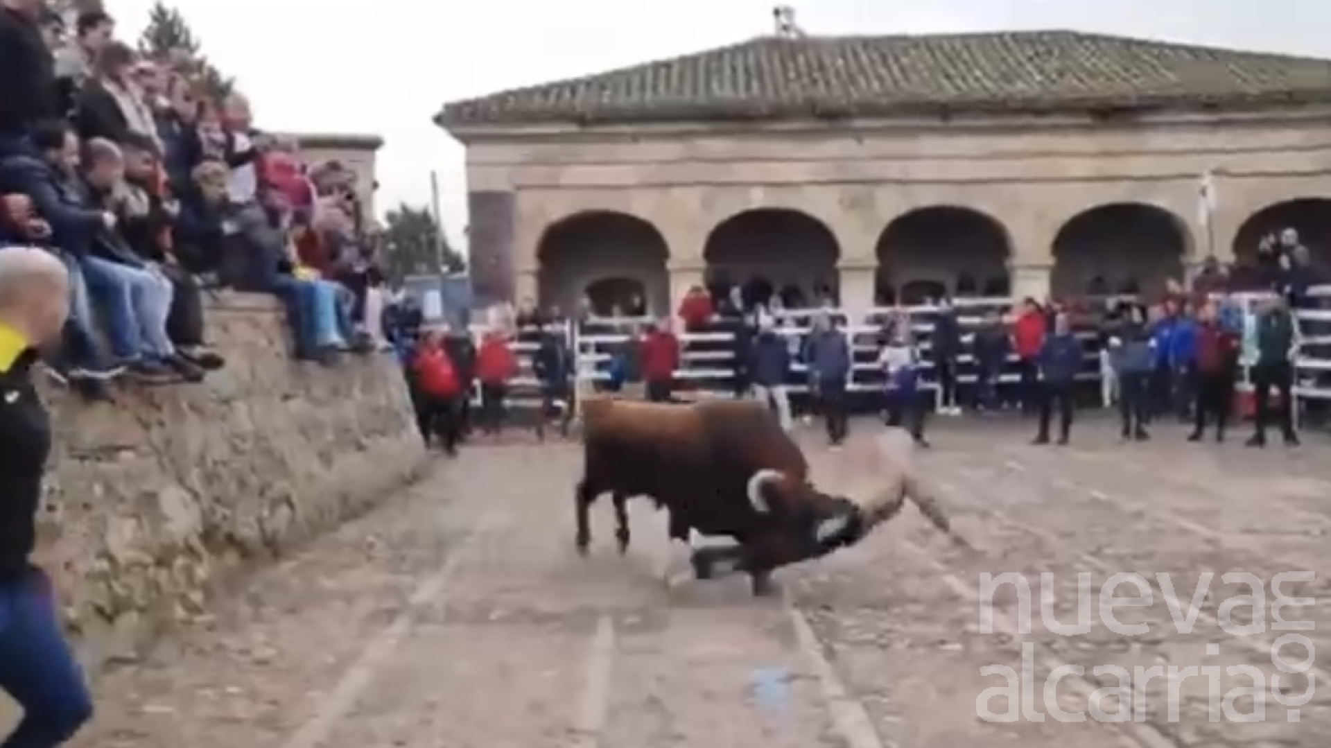 Pavorosa cogida a un joven de Guadalajara en el Carnaval del Toro de Ciudad  Rodrigo | NuevaAlcarria - Guadalajara