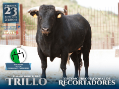 Los recortadores sortearán a colosales astados en Trillo 