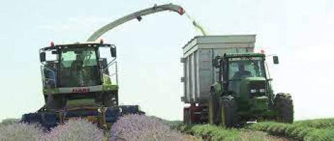 Desde el viernes se pueden solicitar las ayudas del Plan Renove de maquinaria agrícola