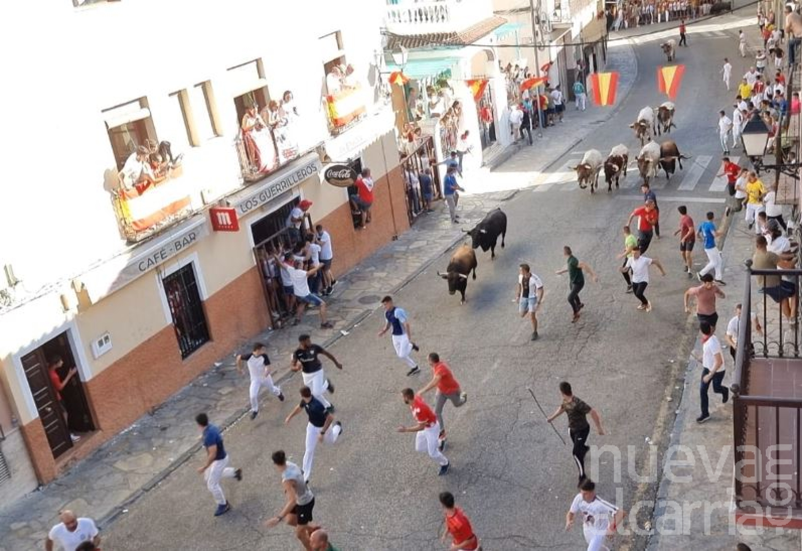 DOS COGIDAS Y UN REVOLCÓN EN BRIHUEGA. Dos al Hospital de Guadalajara |  NuevaAlcarria - Guadalajara