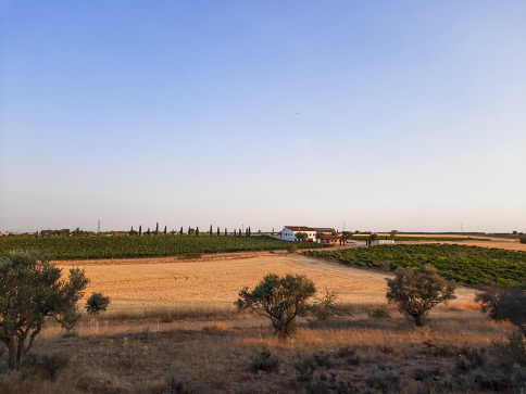 Bodegas Alto de Pioz, la apuesta por un vino que une el ‘terroir’ y la pasión de la Alcarria