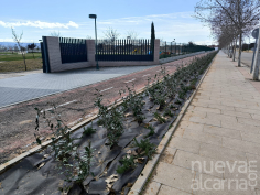 Una pantalla verde de arbustos separará el carril bici del acerado en el Parque Elena de la Cruz de Cabanillas