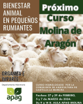 Próximo curso sobre bienestar animal de APAG Molina de Aragón