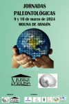 El Museo Comarcal de Molina de Aragón celebra este fin de semana las Jornadas de Paleontología