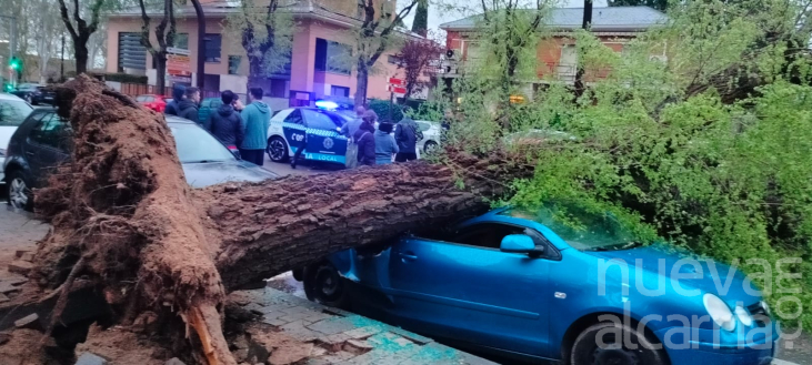 La fuerza del viento arranca un árbol y destroza varios vehículos frente al colegio Salesianos
