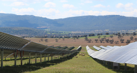 Naturgy inicia la construcción  de dos fotovoltaicas: Zorita I y II