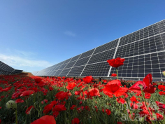 Solaria recibe luz verde para un proyecto solar de 175 MW en Guadalajara en el que invertirá unos 90 millones