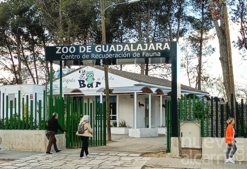 Zoo Bar 