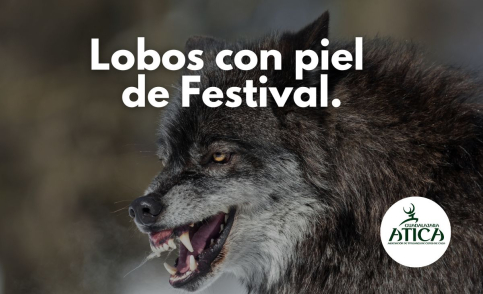 ATICA denuncia el impacto negativo de los eventos animalistas en la Sierra Norte 