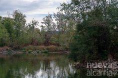 Cerca de 1.300 personas visitaron la Reserva Ornitológica de Azuqueca en el curso 2023/2024