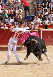 Un recortador de la provincia puede convertirse en el nuevo campeón de España