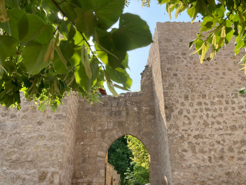 Un pueblo de Guadalajara, Premio Nacional de Pueblos Mágicos