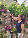 Cogolludo premia a las ganadoras del IV Concurso de Embellecimiento de Fachadas y Balcones