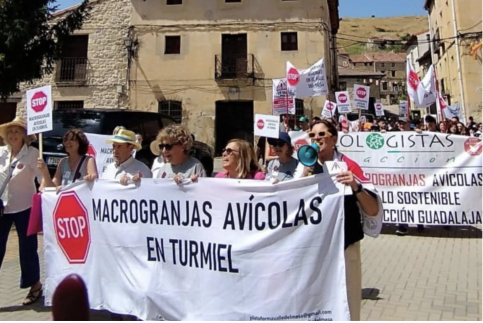 Manifestación en Maranchón contra las macrogranjas proyectadas en la cabecera del Valle del Mesa