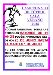 Campeonato de fútbol sala de verano 2025 en Molina