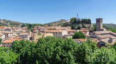Brihuega se consolida como capital nacional del turismo de floración con un encuentro sobre desarrollo rural