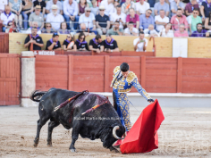 Las mejores imágenes de la primera corrida de toros de la feria de Guadalajara
