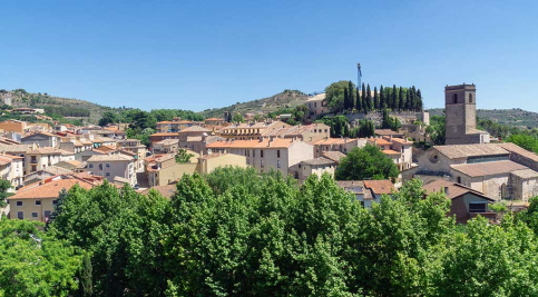 Un prestigioso digital británico recomienda a sus ciudadanos visitar nuestra “ciudad de la lavanda”
