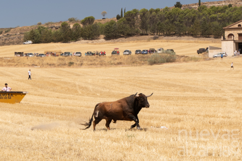 El Gobierno regional pone en marcha el Consejo Asesor de Asuntos Taurinos 