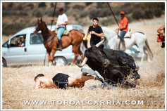 Álvaro Marín se alzó con el Primer Premio por ‘Cuerpo a tierra’ en una gala que ToroAlcarria dedicó a Miguel Ruiz Berlanga