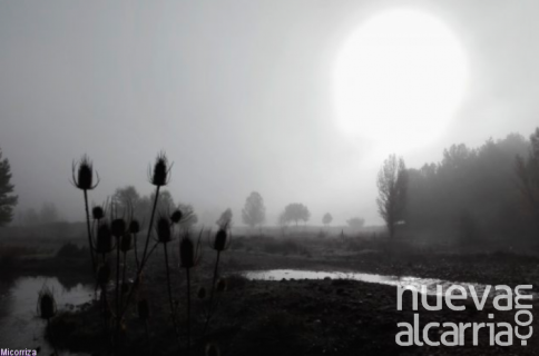 Guadalajara, en aviso amarillo por niebla este domingo