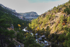 Ayudas LEADER para emprendedores: 27.000€ a fondo perdido para impulsar proyectos en Molina de Aragón–Alto Tajo