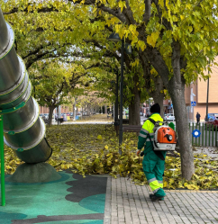 El Ayuntamiento de Azuqueca invierte más de 96.000 euros para mejorar la recogida de la hoja
